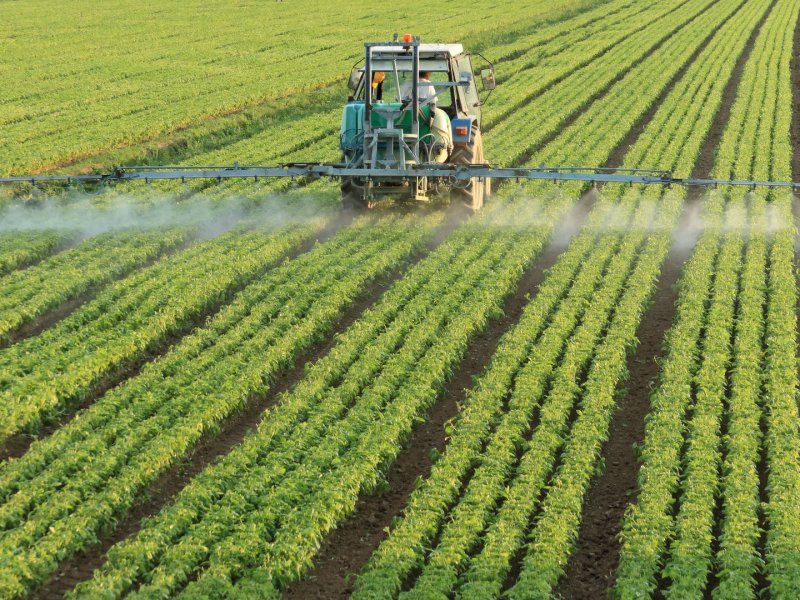 Ensuring food safety